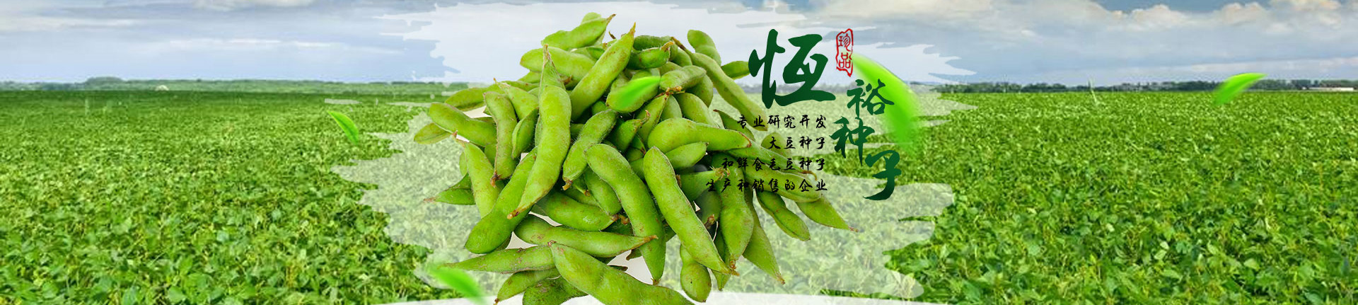 开原市恒裕种子有限公司