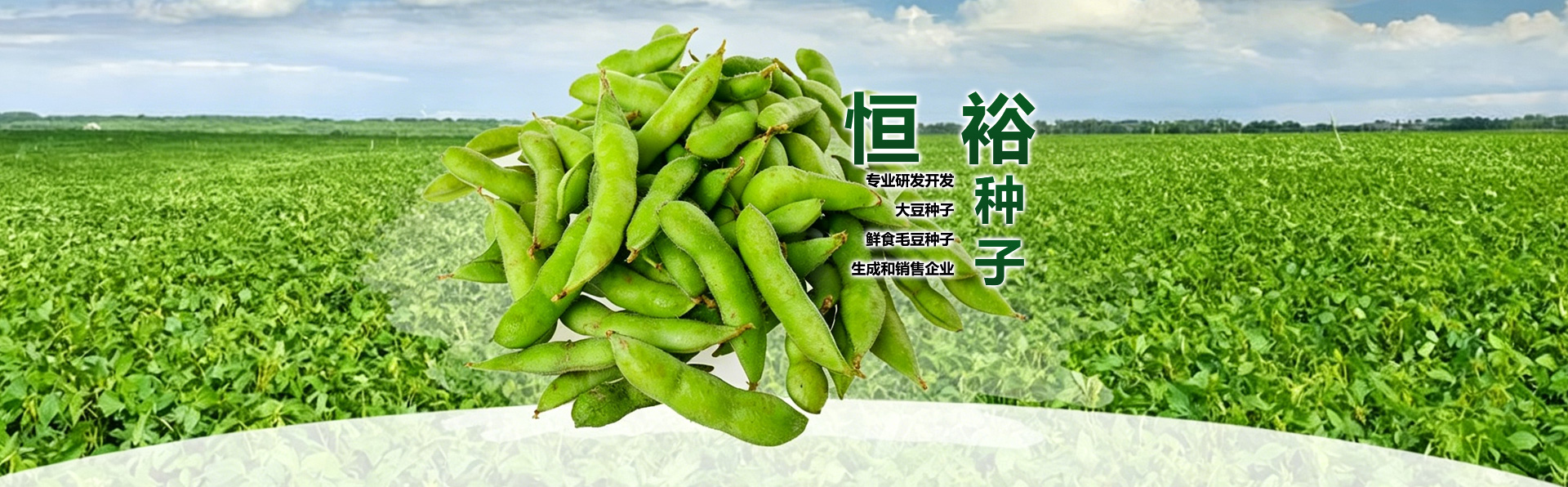 开原市恒裕种子有限公司