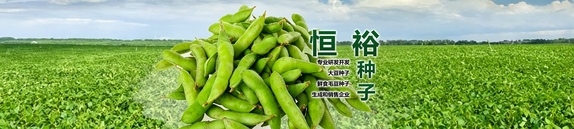 开原市恒裕种子有限公司