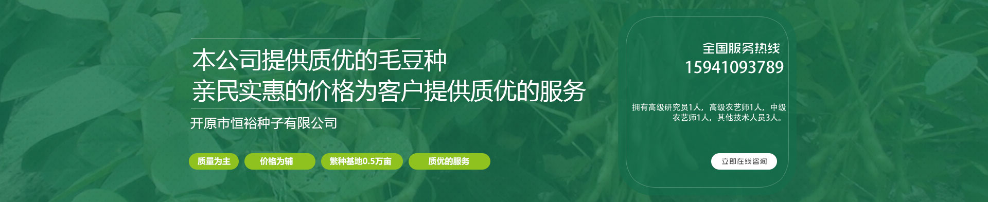 种子.jpg